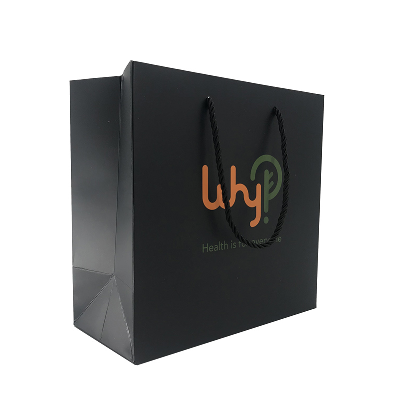 Lipack Handmade Black Color Shoes Paper Bag with Twisted Handles