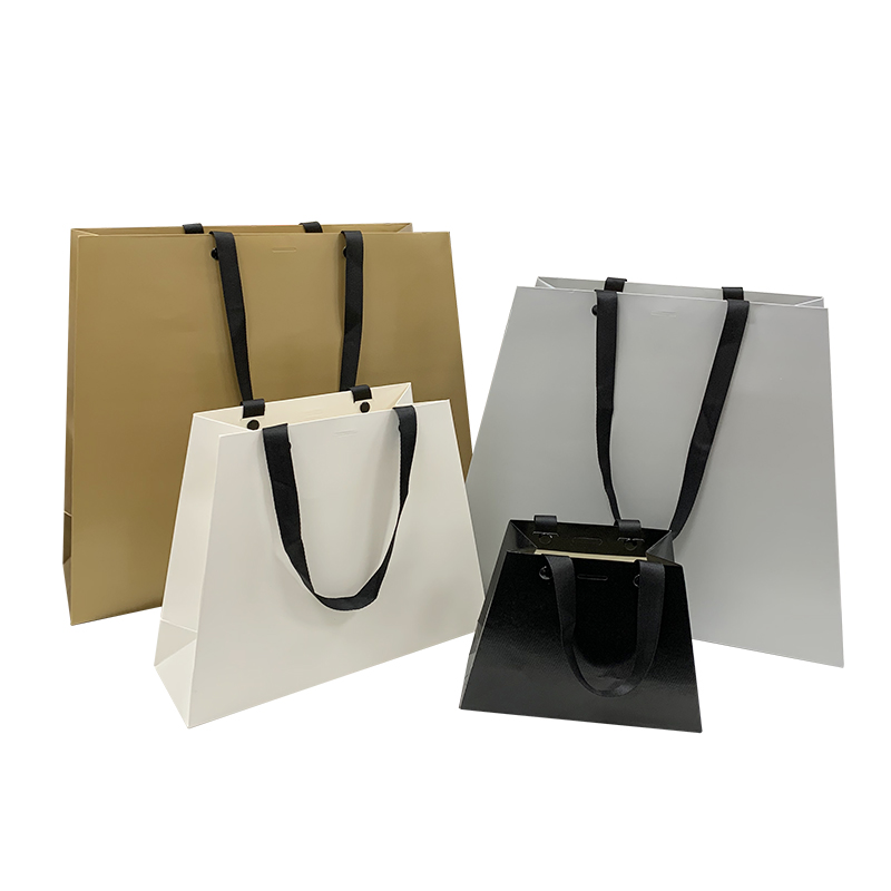 Lipack Custom Private Boutique Shoes Paper Bag with Colored for Shopping