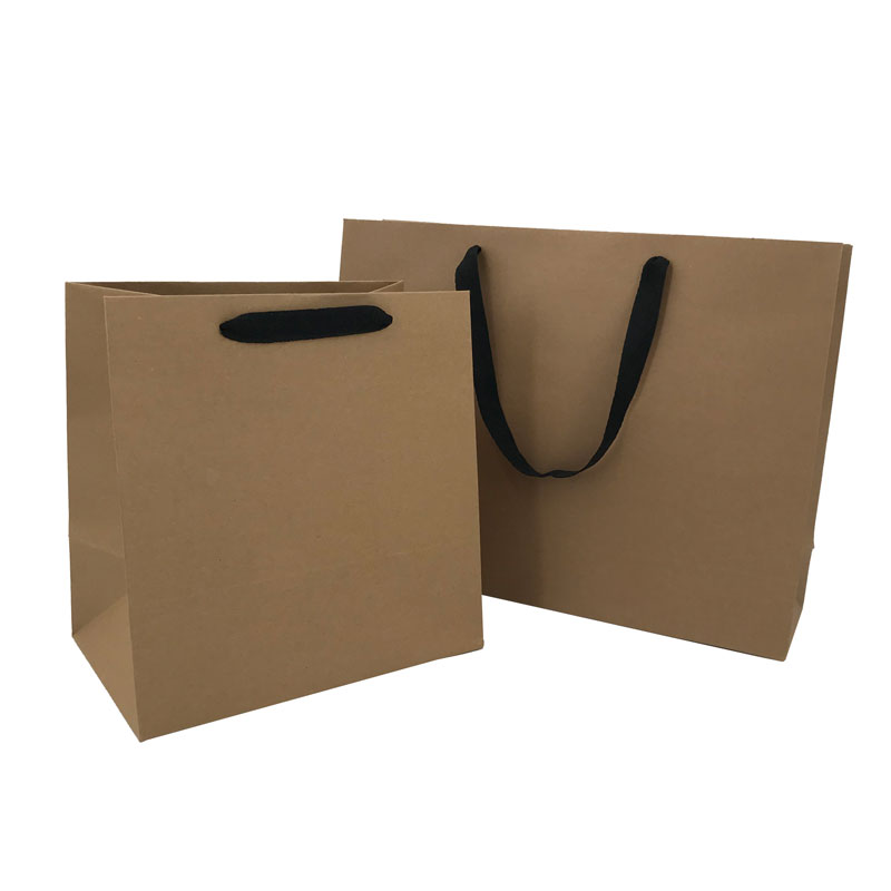Lipack Reusable Khaki Kraft Paper Bag for Packaging