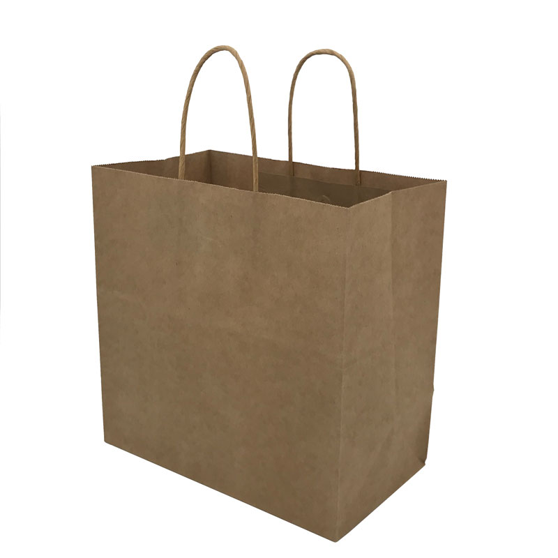 Lipack Fashion Kraft Paper Shopping Bag with Twisted Handles