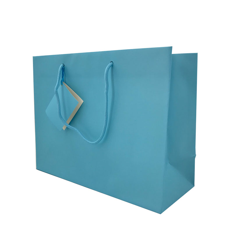 Lipack Custom Boutique Paper Shopping Bag with Logo Printed for Greeting Cards
