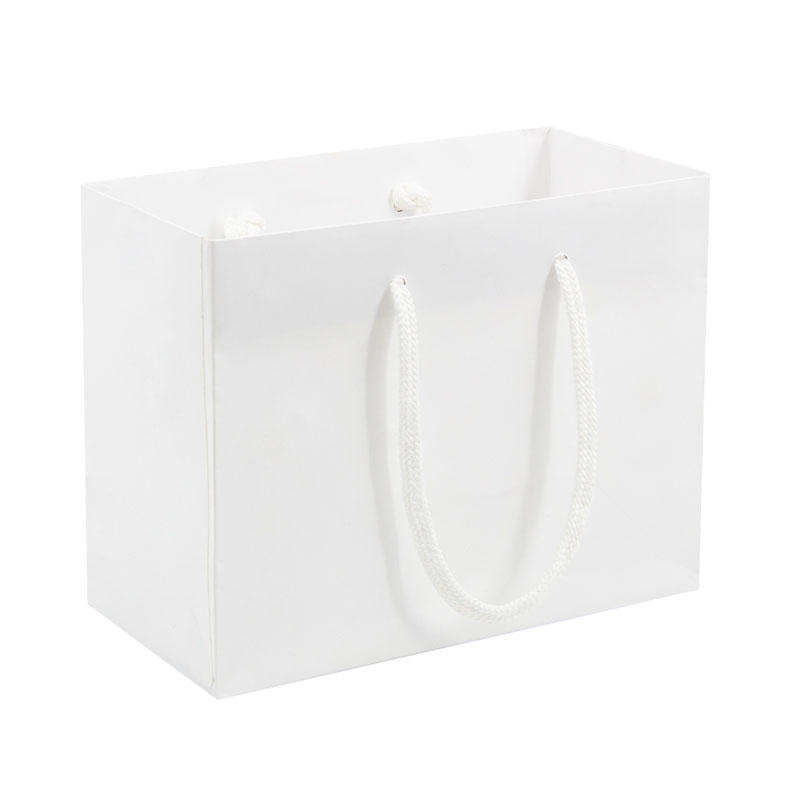 Lipack Custom Logo Printed Luxury Cosmetic Paper Bag for Gift 