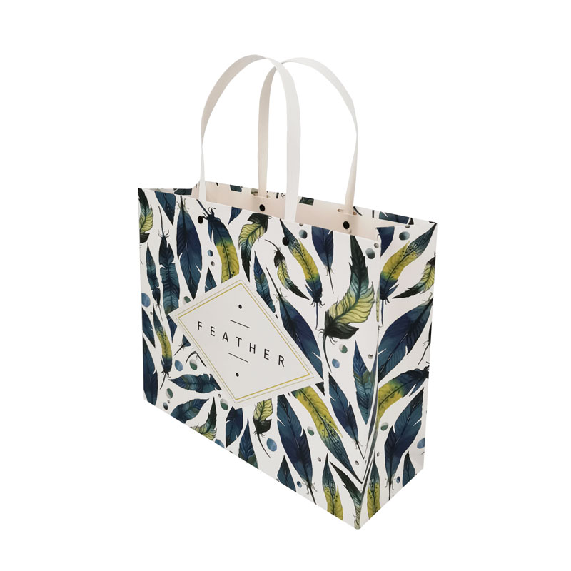 Lipack Custom Unique Boutique Paper Bag for Gift with logo
