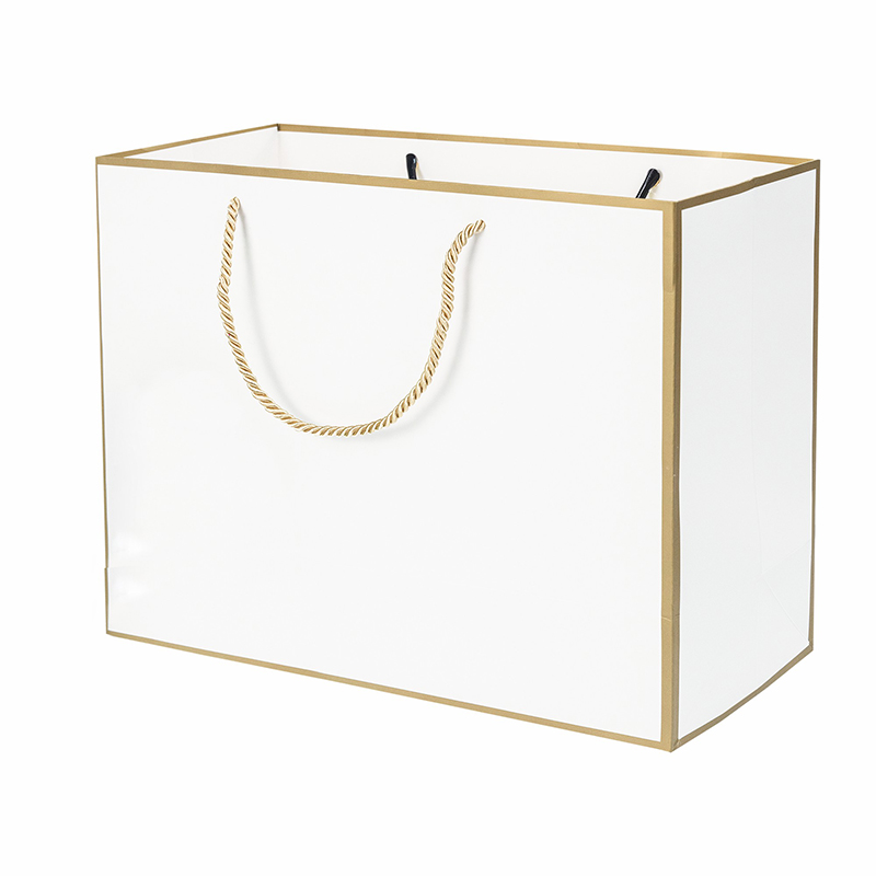 Lipack Customized Plain Biodegradable Hot Paper Bag with Handles for Clothes