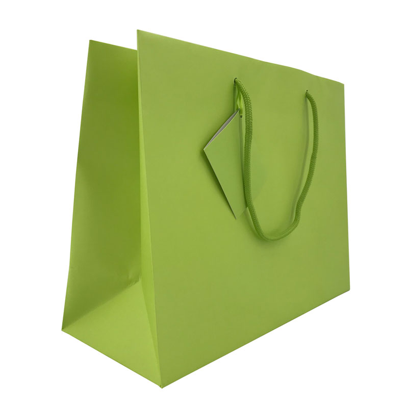 Lipack Custom Boutique Paper Shopping Bag with Logo Printed for Greeting Cards