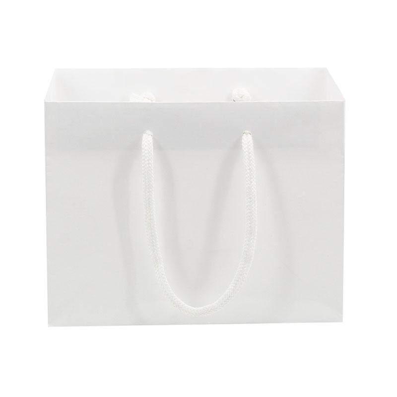 Lipack Custom Logo Printed Luxury Cosmetic Paper Bag for Gift 