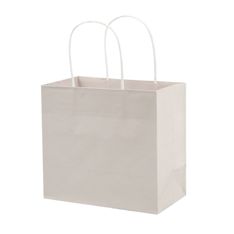 Lipack Custom White Kraft Paper Bag with Twisted Handles for Packaging