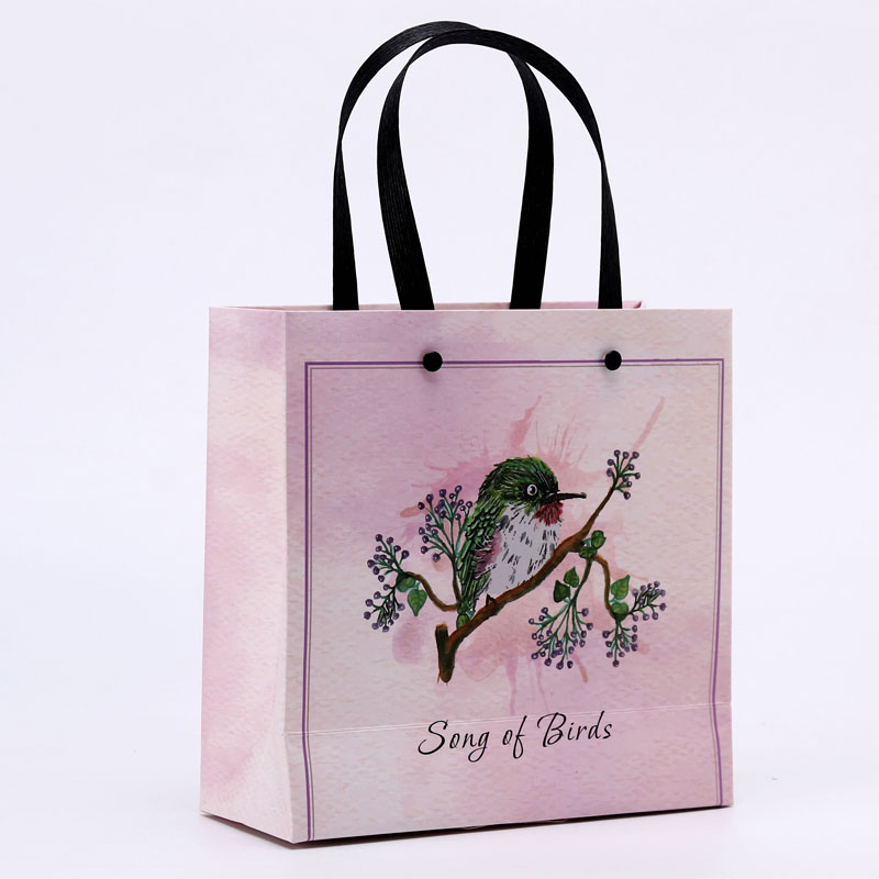 Lipack Art Luxury Paper Bag for Gift with Your Logo