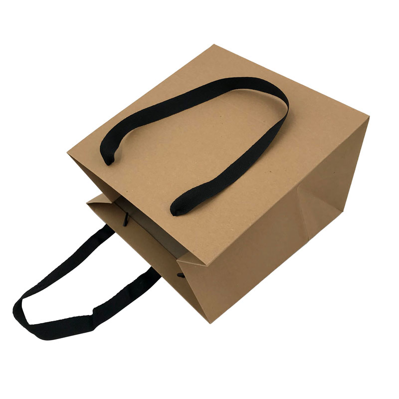Lipack Reusable Khaki Kraft Paper Bag for Packaging
